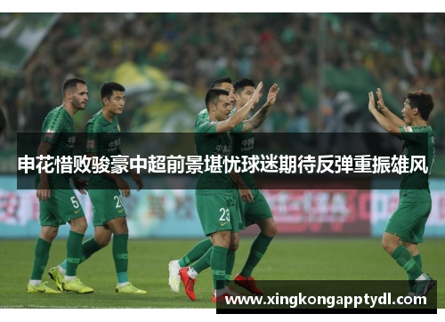 申花惜败骏豪中超前景堪忧球迷期待反弹重振雄风