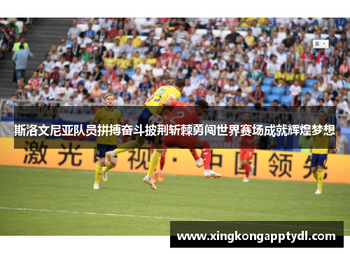 斯洛文尼亚队员拼搏奋斗披荆斩棘勇闯世界赛场成就辉煌梦想