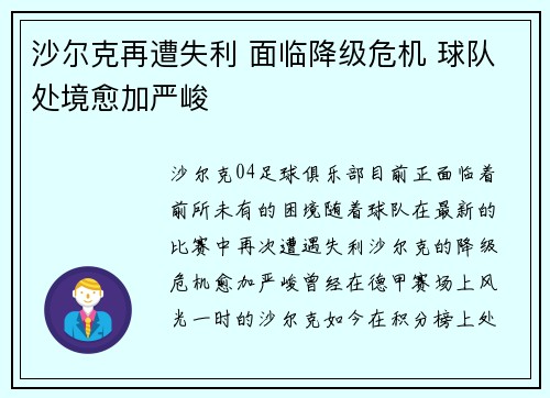 沙尔克再遭失利 面临降级危机 球队处境愈加严峻