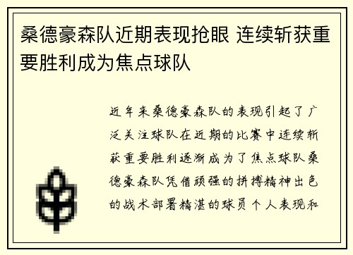 桑德豪森队近期表现抢眼 连续斩获重要胜利成为焦点球队