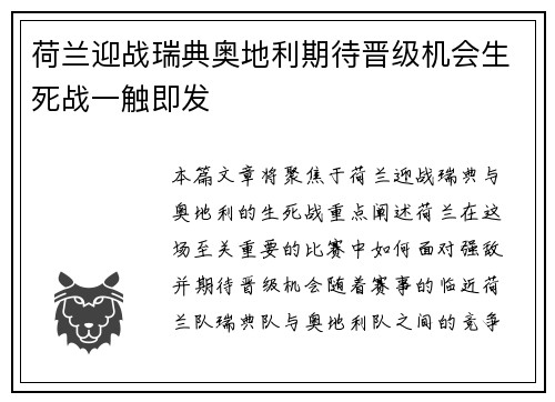 荷兰迎战瑞典奥地利期待晋级机会生死战一触即发