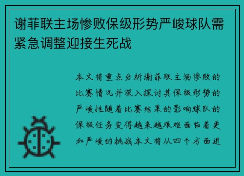 谢菲联主场惨败保级形势严峻球队需紧急调整迎接生死战