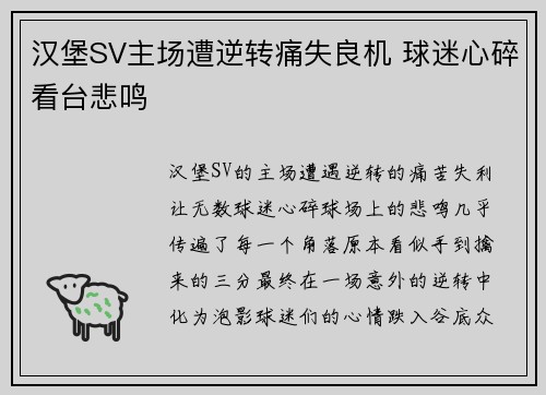 汉堡SV主场遭逆转痛失良机 球迷心碎看台悲鸣